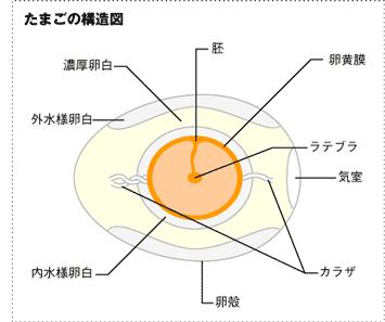 株式会社タカノ